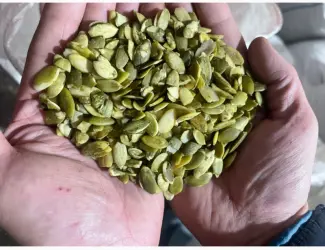 Зображення для оголошення Продам бой чищенной семочки сорт украинка на масло