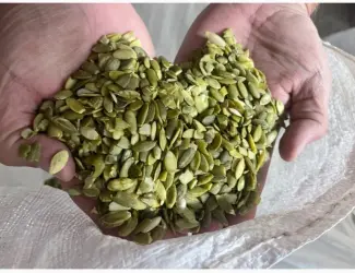 Зображення для оголошення Продам чищенную кабаковую семечку на масло