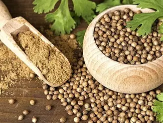 Зображення для оголошення Продам семена кориандра Янтарь