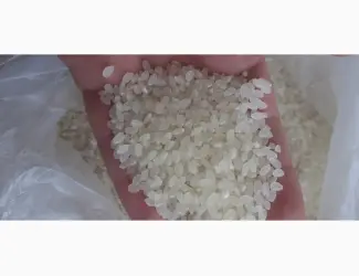 Зображення для оголошення Продам Рис длинный