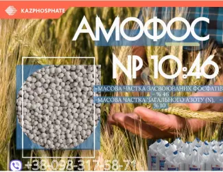 Аммофос NP 10-46