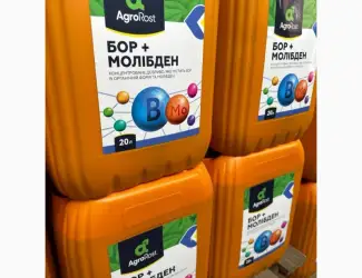 Бор + Молібден - концентроване добриво для позакореневої підкормки с/г культур