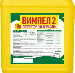 Зображення для оголошення Стимулятор роста вимпел 2
