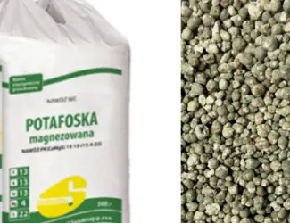 Потафоска Potafoska Siarkopol Сяркополь PK та 4 13 12 Польща