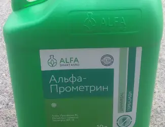 Альфа-Прометрин - захист соняшнику