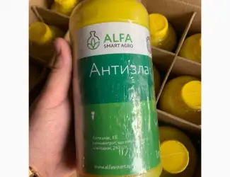 Антизлак - післясходовий грамініцид для знищення одно і багаторічних злакових бур’янів