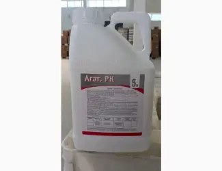 Агат