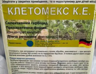 Клетомекс - післясходовий системний гербіцид проти бур'янів в посівах буряків