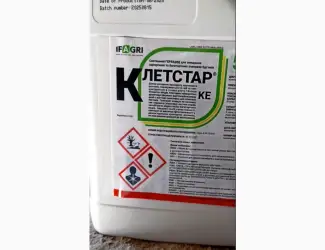 Клетстар