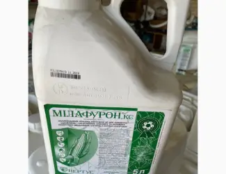 Mілaфуpoн - Піcляcxoдoвий гepбіцид для знищeння буp’янів у пocівax кукуpудзи