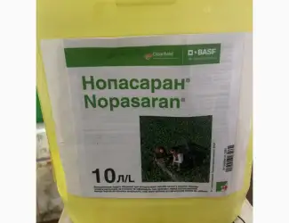 Нопасаран - контроль широкого спектру бур’янів у посівах ріпаку