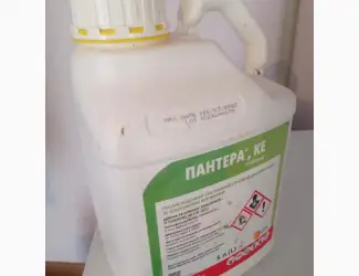Пантера - захист від бур'янів на посівах широколистих культур