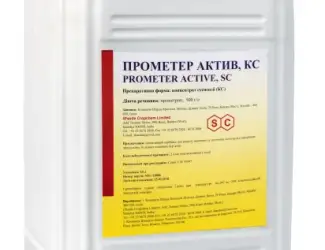 Прометер Актив