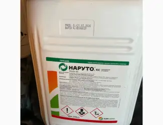 НАРУТО