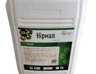 Нірмал (Елюміс) - Новий гербіцид для контролю комплексу бур’янів на кукурудзі