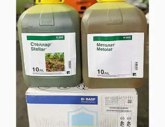 Стеллар + Метолат - надійний і ефективний гербіцид для захисту посівів кукурудзи