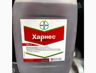 Харнес - гербіцидний еталон в ґрунтовому захисті кукурудзи