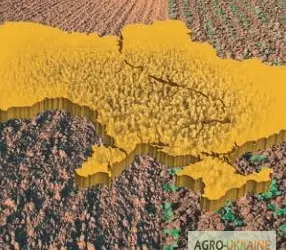 Зображення для оголошення Бутизан авант по рипаку