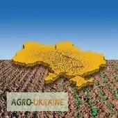 Зображення для оголошення Гербицид Бутизан Авант аналог галера супер