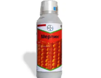 Зображення для оголошення Купить гербицид Мерлин