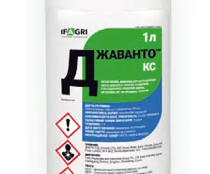 Джаванто
