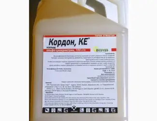 Кордон