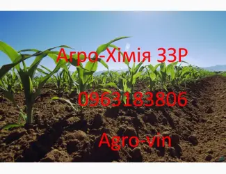 Інсектицид картопля инсектицид конфидор