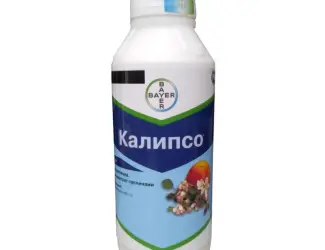 Зображення для оголошення Купить инсектецид Калипсо 480