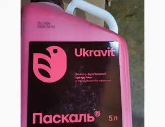 Паскаль - Інноваційний інсекто-фунгіцидний протруйник проти широкого спектра шкідників