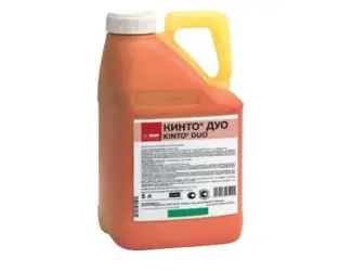Зображення для оголошення Купить Кинто Дуо