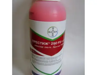 Зображення для оголошення Купить протравитель Престиж