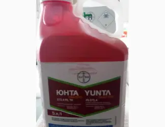Зображення для оголошення Купить протравитель Юнта Квадро