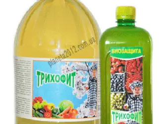 Трихофит биофунгицид продаем оптом от производителя