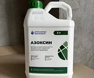 Азоксин - фунгіцид проти ключових хвороб зернових і олійних культур