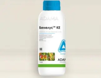 Бенелус КЕ – фунгіцид