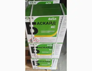 Баскайд