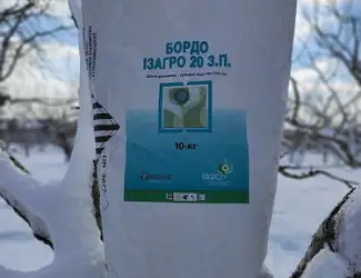 Бордо Ізагро - фунгіцид для захисту садів і виноградників від спектру хвороб