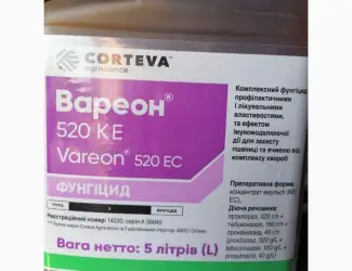 Вареон 520 – 3х компонентний фунгіцид з ефектом імуномодулюючої дії для захисту зернових