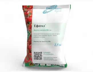 Ефатол - системний фунгіцид профілактичної /лікувальної дії від збудників комплексу хвороб
