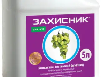 Захисник – фунгіцид для профілактики і лікування грибкових та інфекційних хвороб