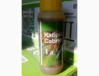 Кабріо Дуо - фунгіцид для овочевих культур