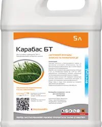 Карабас