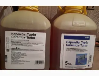 Карамба Турбо - фунгіцид для підвищення врожайності ріпаку