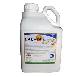 САКУРА