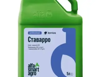 Ставарро – ефективний двокомпонентний стробілуриновмісний фунгіцид з потужною захисною діє