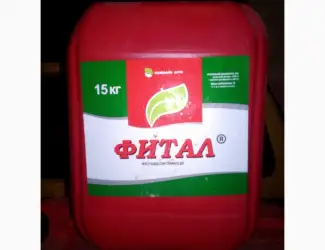 Фитал