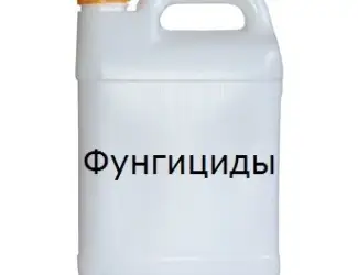 Зображення для оголошення Закупаем постоянно СЗР: Баер