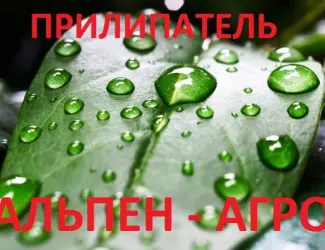 Прилипатель