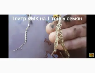 КмК - стимулятор роста