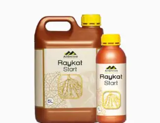 Райкат старт